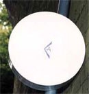 Broadband antenna